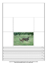 Popup-Buch-Zebra-B-1-5.pdf